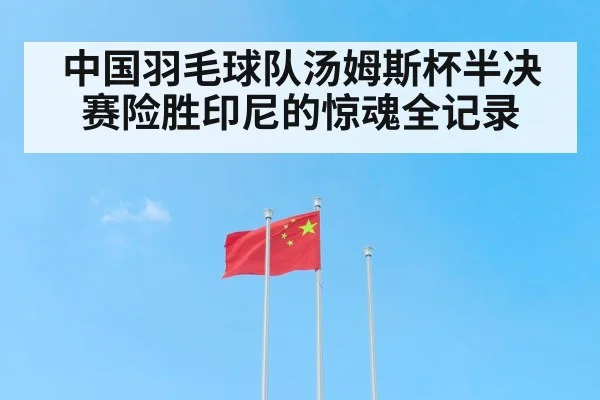 中国羽毛球队汤姆斯杯半决赛险胜印尼的惊魂全记录