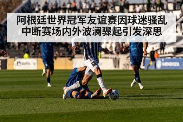 阿根廷世界冠军友谊赛因球迷骚乱中断赛场内外波澜骤起引发深思